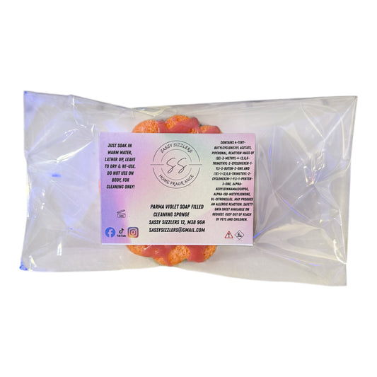 Soap Filled Dish/Cleaning Sponge